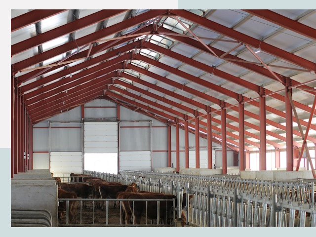 Строительство коровников в Ульяновске